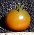 Black Prince tomato