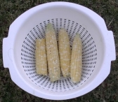 sweet corn